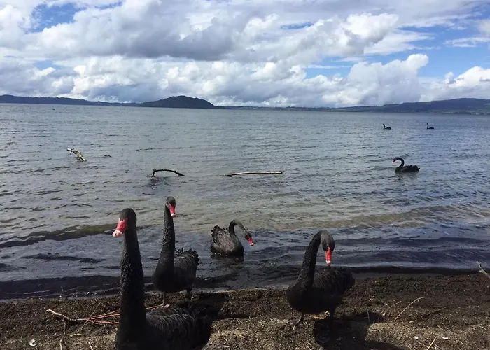 Super Edge * Rotorua